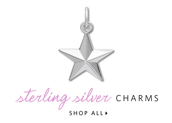 Shop Silver Charms
