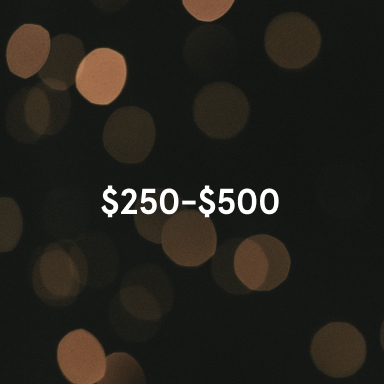 $250-$500