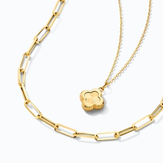 Gold Chain Necklace & Pendant