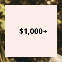 $1,000+